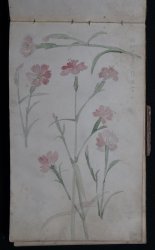 Japan landscape sketchbook 1930