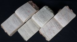 Japan manuscript 1900