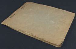 Japan Onsen nude 1920