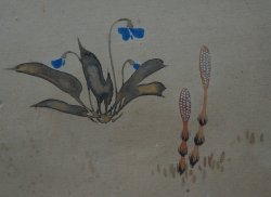 Japan panel watercolor 1900