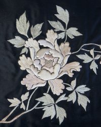 Japan silk 1900
