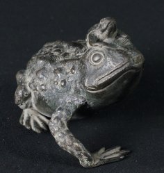 Japan toad Keru 1700