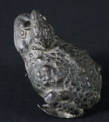 Japan toad Keru 1700