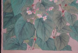 Japan watercolor 1960