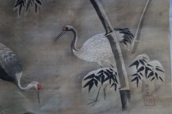 Japan winter birds 1900