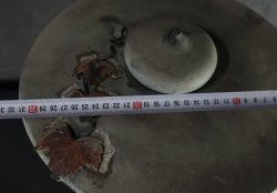 Japanese garden lamp 1900