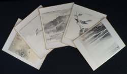 Japanese Miniature 1900 watercolor