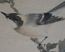 Japanese Miniature 1900 watercolor