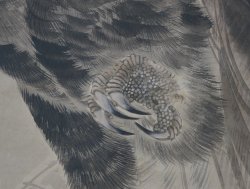 Kadou winter eagle 1880