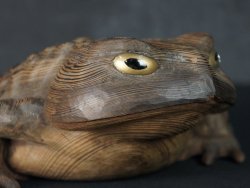 Kaeru turd frog 1950