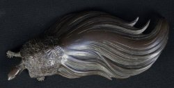 Kame bronze sculpture 1800