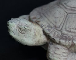 Kame garden turtle 1900s