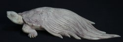 Kame garden turtle 1900s