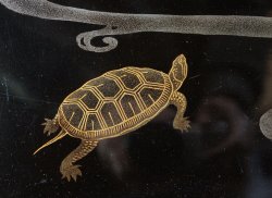 Kame turtle Obon 1900