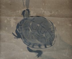 Kame turtle painting 1800