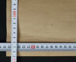 Kame turtle painting 1800