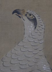 Kano Eisen Taka 1700