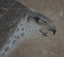 Kanou-Ha eagle 1700
