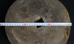 Kashya polley tool 1800