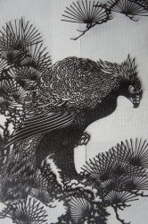 Katagami Taka eagle 1950