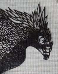 Katagami Taka eagle 1950