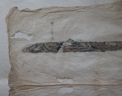 Katana Edo sketch 1800