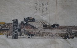 Katana Edo sketch 1800