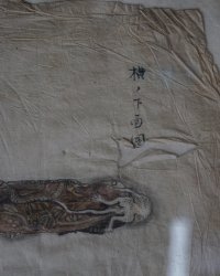 Katana Edo sketch 1800