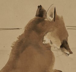 Kitsune fox Nishimura Goun 1900