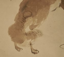 Kitsune fox Nishimura Goun 1900