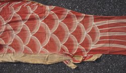 Koi carp kite 1950