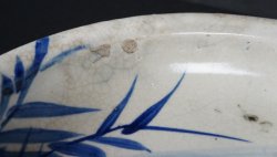 Koi plate 1950