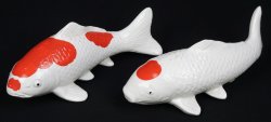 Koi pond carps 1950s