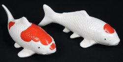 Koi pond carps 1950s