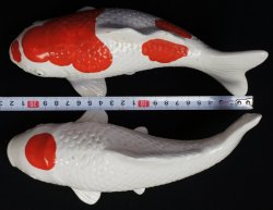 Koi pond carps 1950s