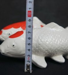 Koi pond carps 1950s