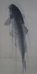 Koinobori carp 1970