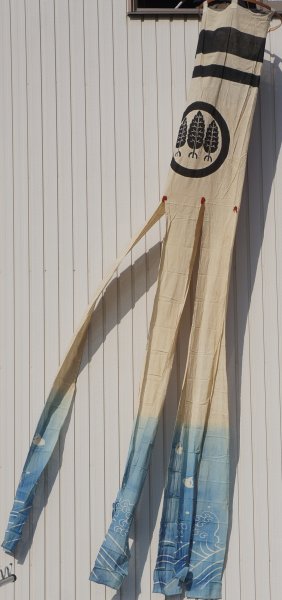 Koinobori Chidori 1900