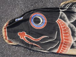 Koinobori kite 1950 Kuro