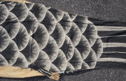 Koinobori kite 1950 Kuro