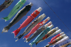 Koinobori kite 1950 Kuro