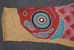 Koinobori spring flag 1900