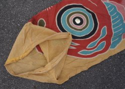 Koinobori spring flag 1900