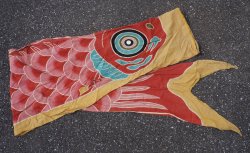 Koinobori spring flag 1900