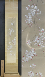 Kouun midnight Sakura 1900