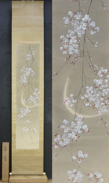 Kouun midnight Sakura 1900