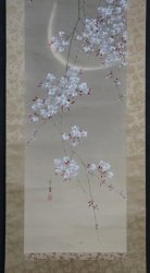 Kouun midnight Sakura 1900