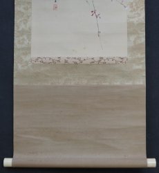 Kouun midnight Sakura 1900