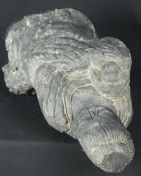 Koyasu Kannon 1940