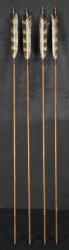 Kyodo arrow 1900 YA